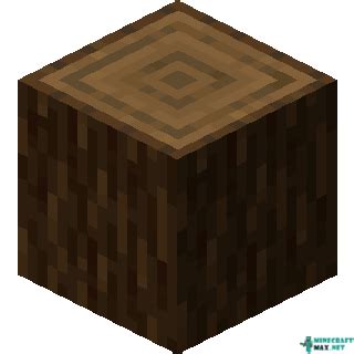 spruce minecraft español.
